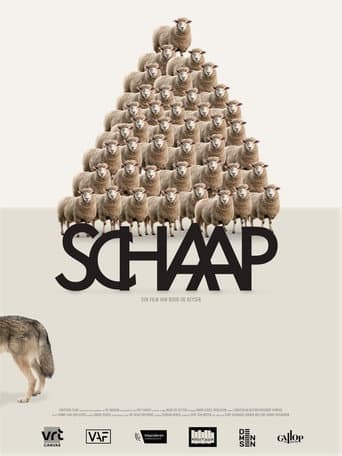 Sheep poster