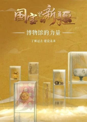 国宝里的新疆 poster