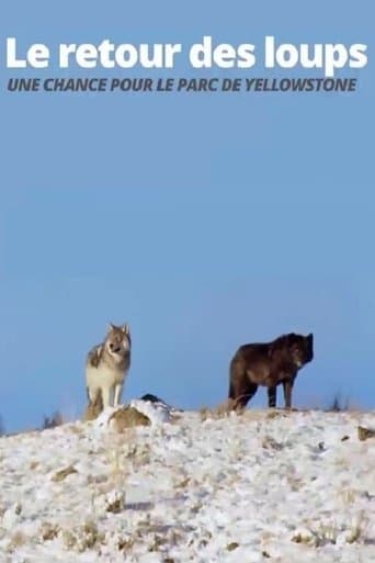 The Return of the Wolves: The Miracle in Yellowstone National Park poster