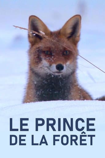 The Prince of the Forest poster