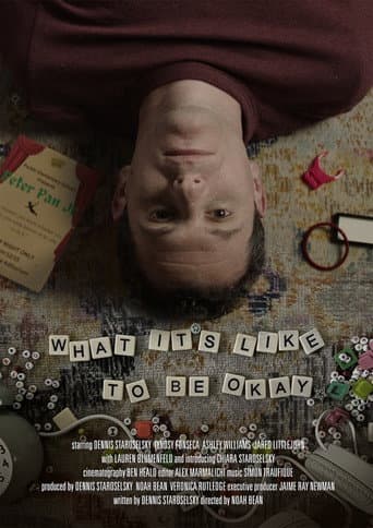 What It’s Like to Be Okay poster