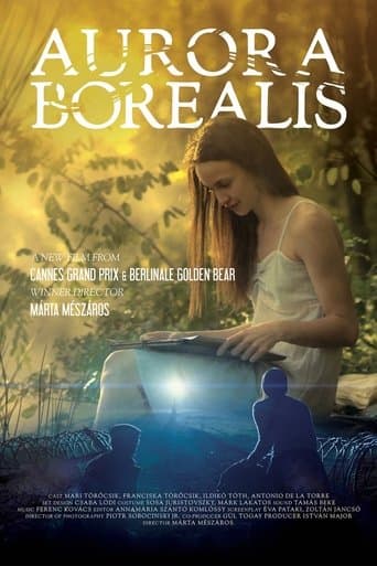 Aurora Borealis: Northern Light poster