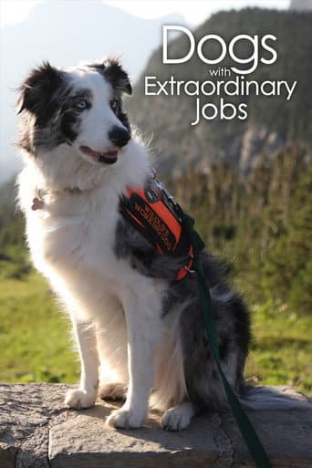 Dogs with Extraordinary Jobs poster