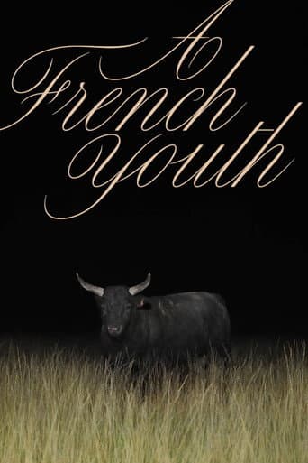 A French Youth poster