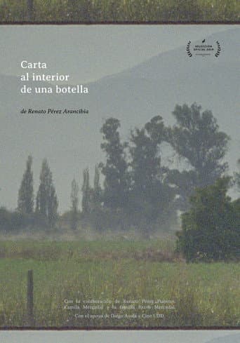 Carta al Interior de una botella poster