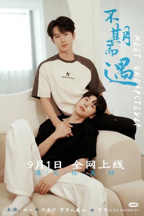 Meet Unexpectedly poster