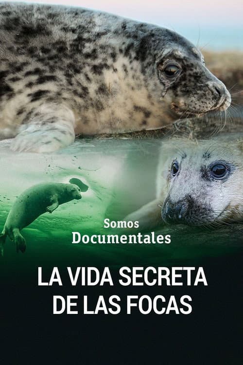 The Secret Life of the Seal poster