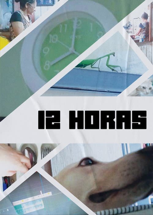 12 Hours poster