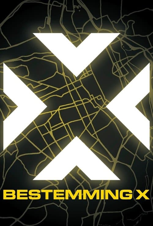 Bestemming X poster