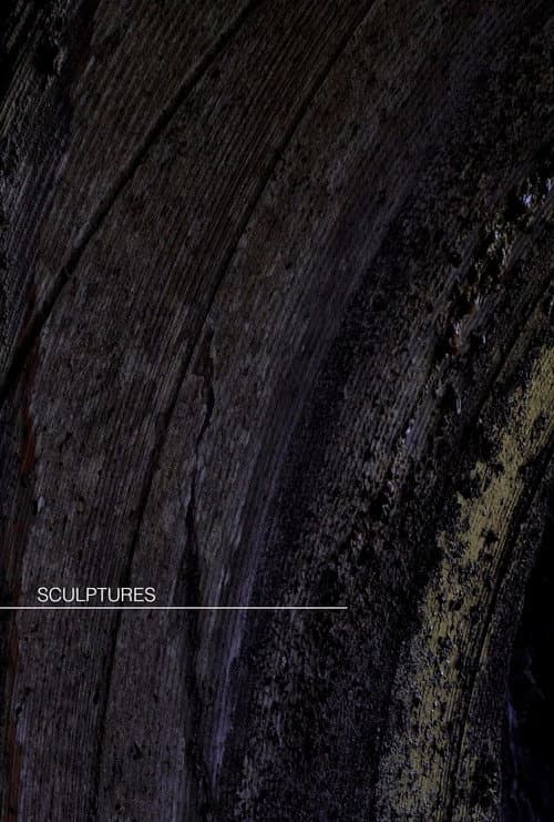 Sculptures poster