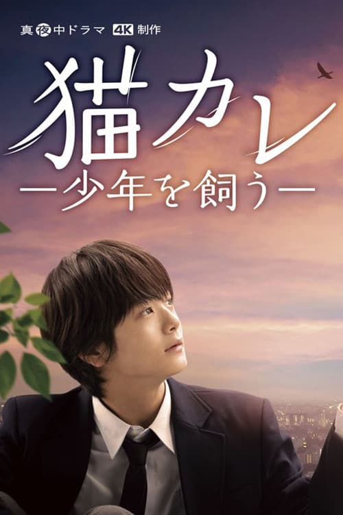 Taking in a Stray poster