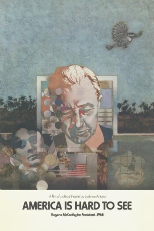 America Is Hard to See poster