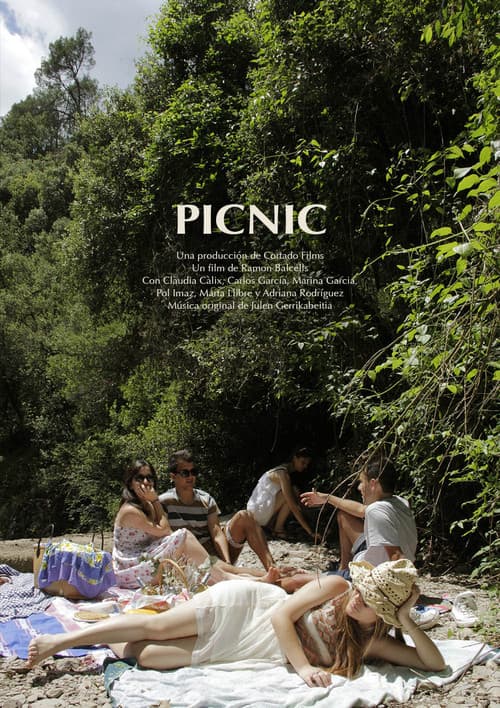 Picnic poster