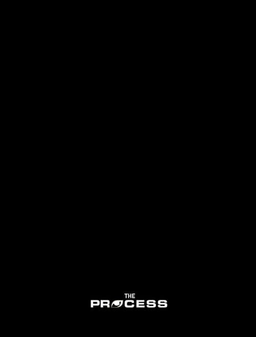 The Process poster