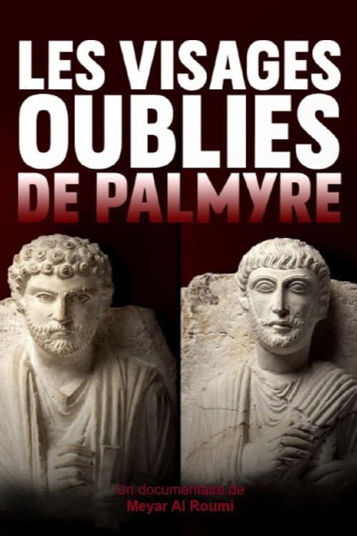 The 1001 Faces of Palmyra poster
