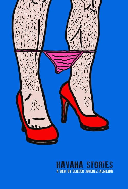 Havana Stories poster