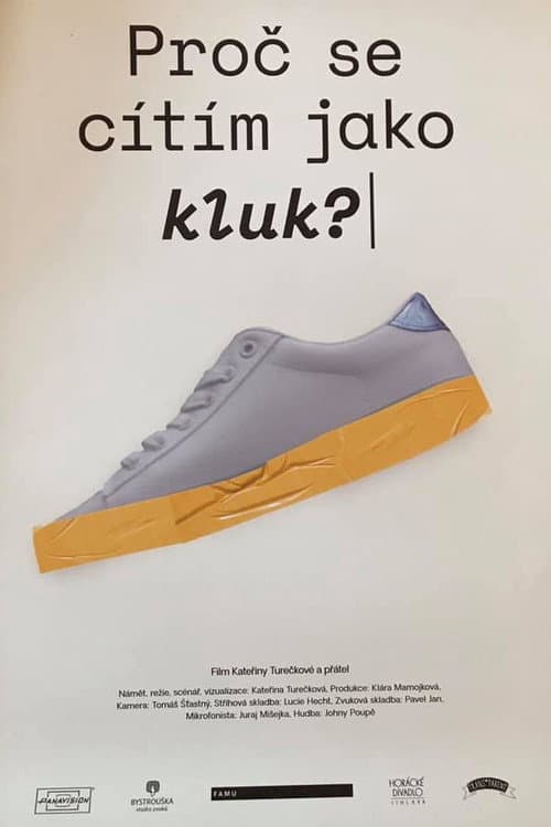 Why Do I Feel like a Boy? poster