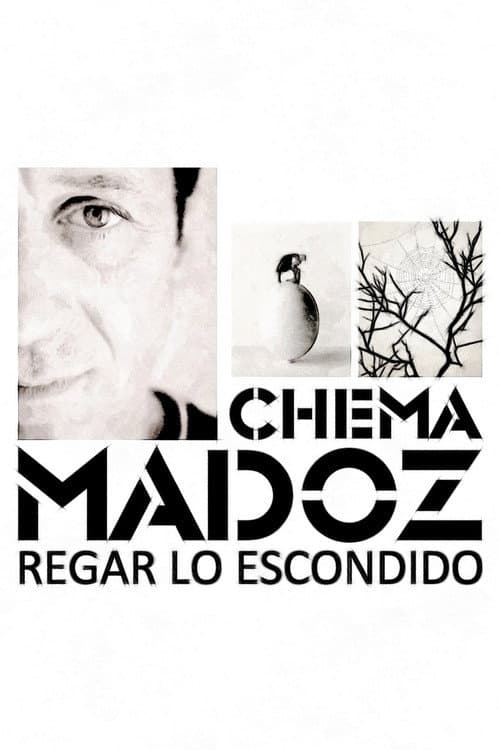 Chema Madoz: regar lo escondido poster
