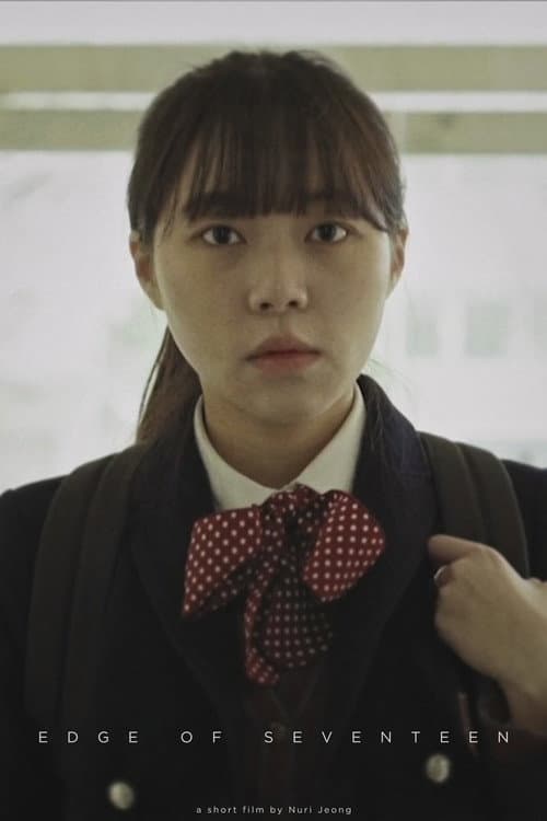 Edge of Seventeen poster
