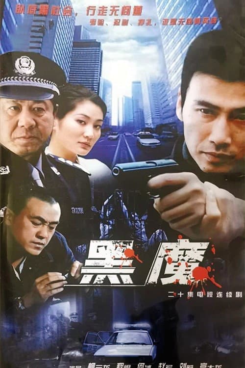 隐姓埋名 poster