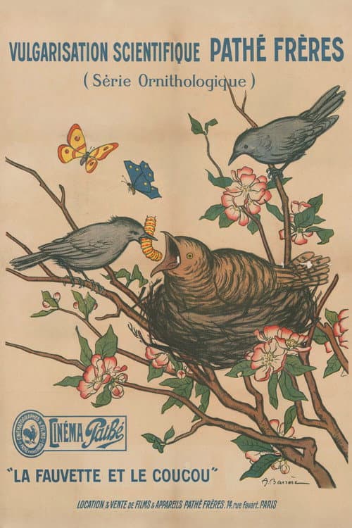 La Fauvette et le coucou poster