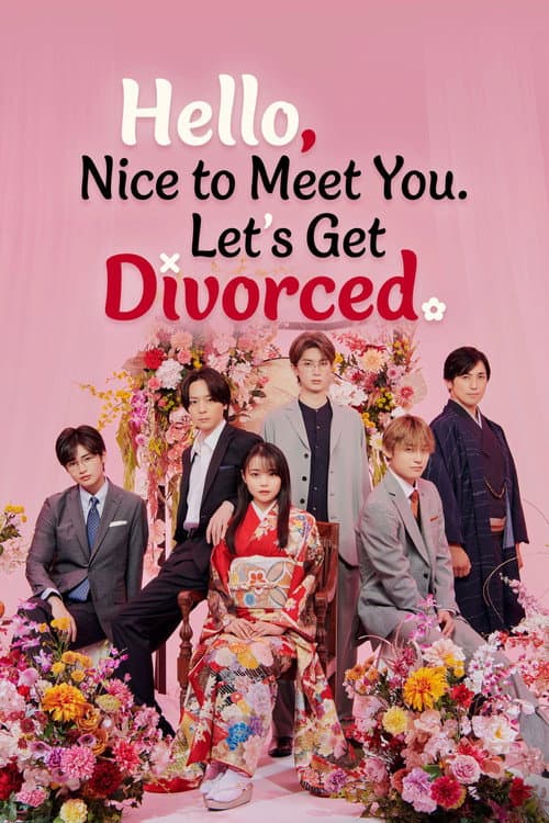 Hello. Nice to Meet You, Let's Divorce poster