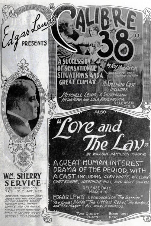 Calibre 38 poster