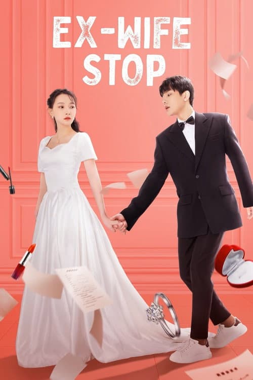Ex-Wife Stop poster