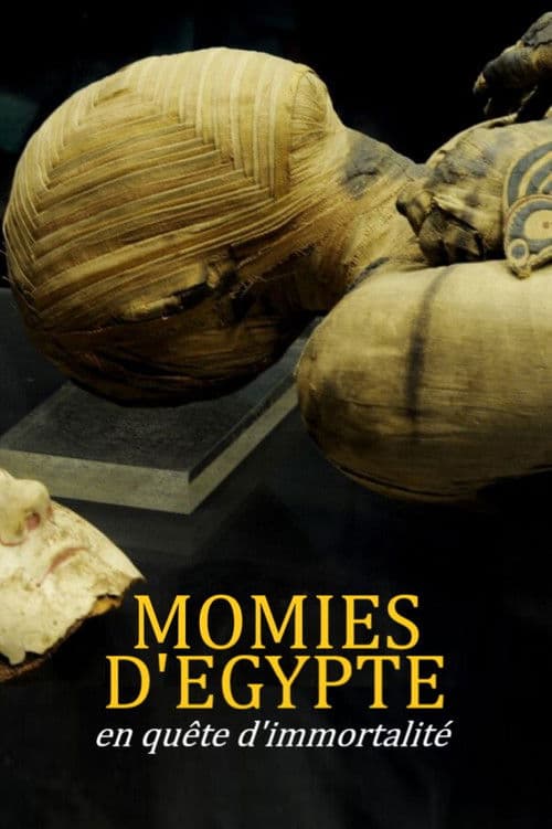 Momies d'Égypte, en quête d'immortalité poster