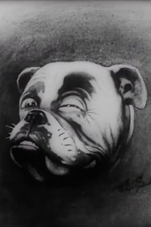 Studdy's War Cartoons poster