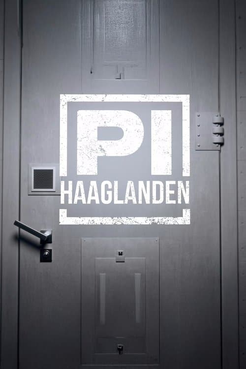 P.I. Haaglanden poster