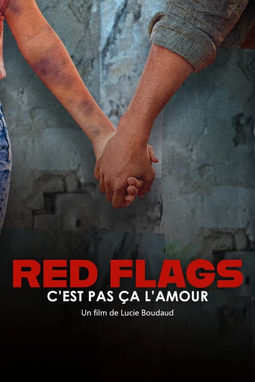 Red Flags – c’est pas ça l’amour poster
