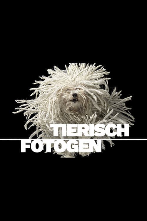 Animal Art: Photogenic Creatures poster