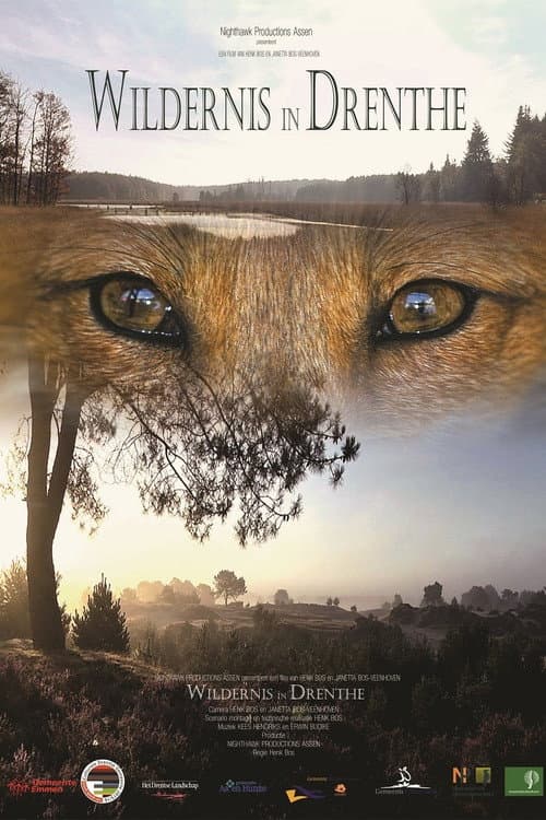 Wildernis in Drenthe poster