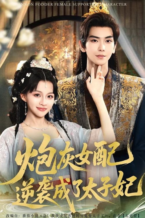炮灰女配逆袭成了太子妃 poster