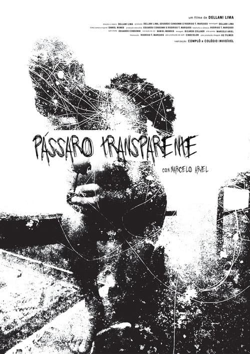 Pássaro Transparente poster