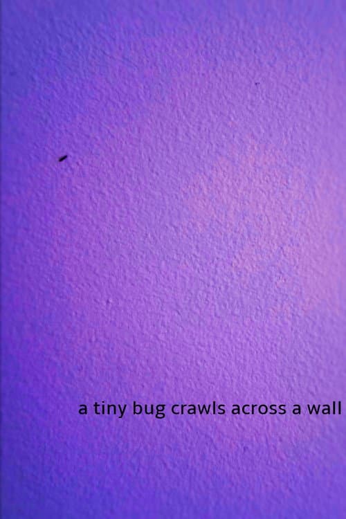 a tiny bug crawls across a wall poster