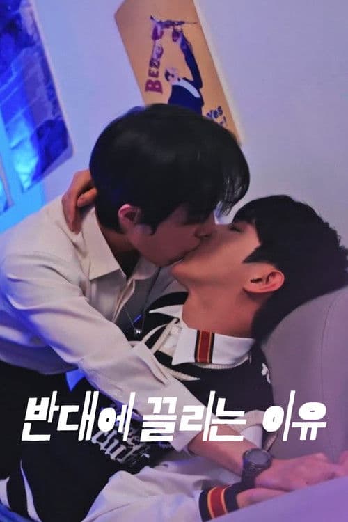 Opposites Attract poster