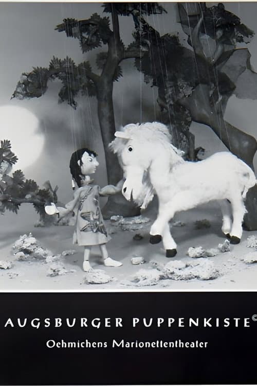 So Hi und das weiße Pferd poster
