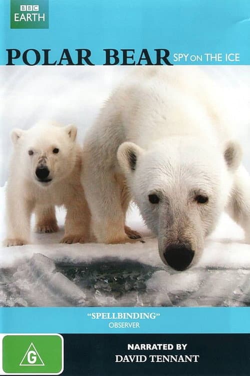 Polar Bear: Spy on the Ice poster