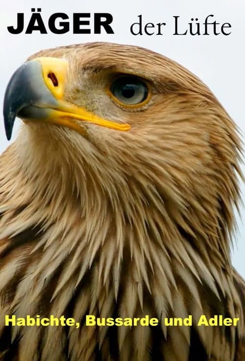 Jäger der Lüfte - Habichte, Bussarde und Adler poster