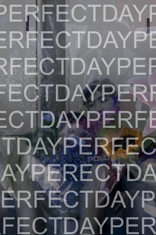 Perfect Day poster