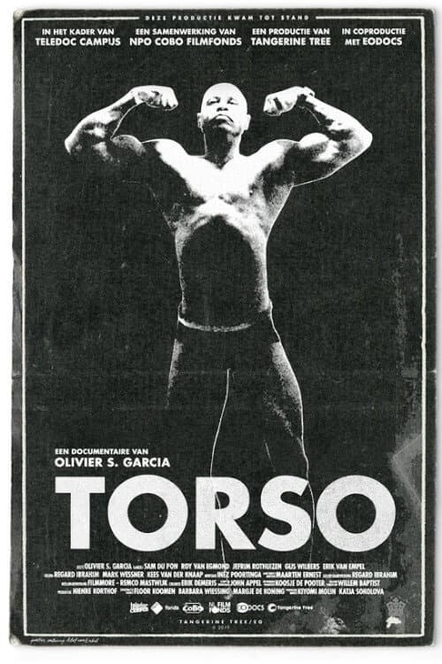 Torso poster