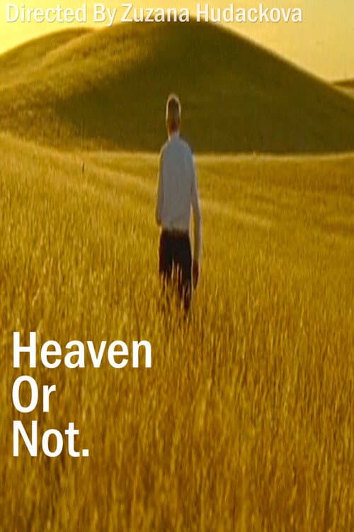 Heaven Or Not poster