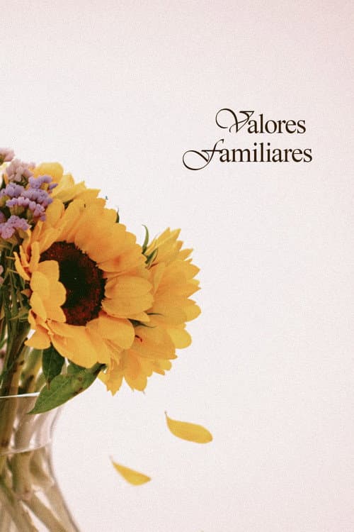Valores Familiares poster