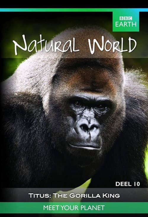 Titus: The Gorilla King poster