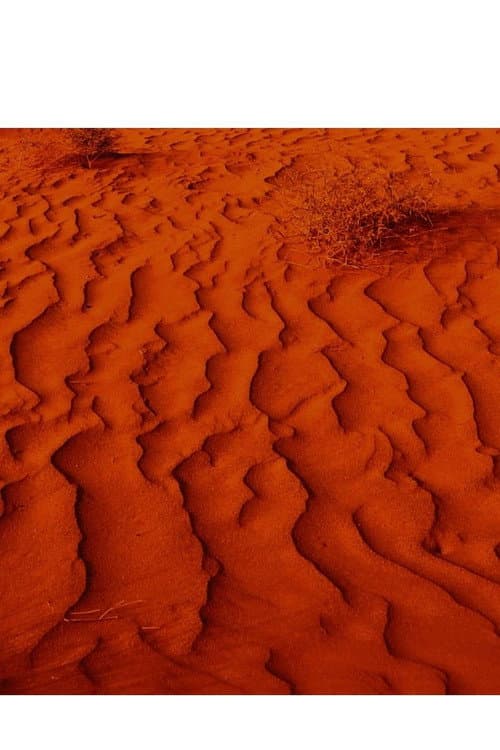 Exile & Desertification poster
