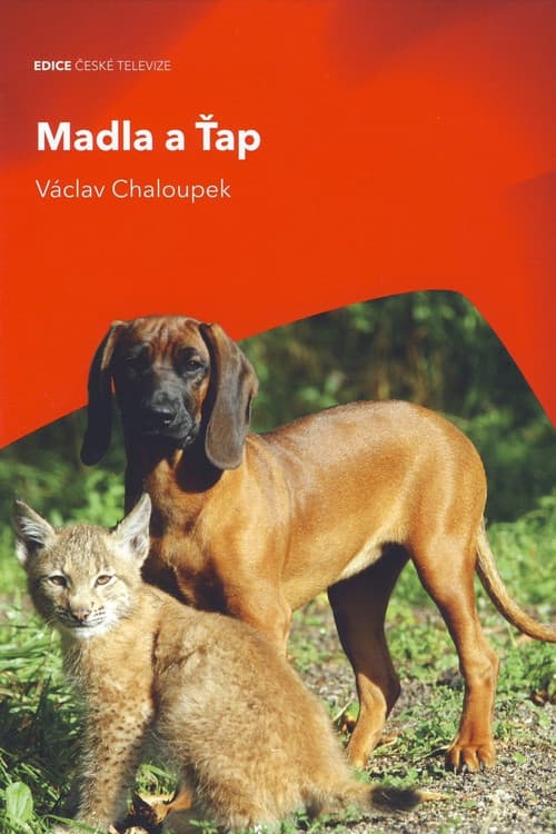 Madla a Ťap poster