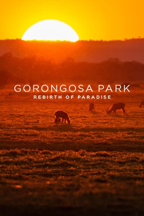 Gorongosa Park: Rebirth of Paradise poster