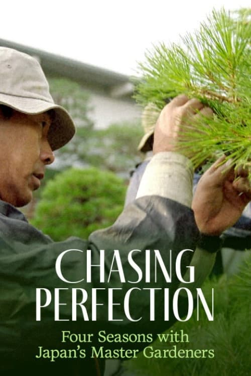 Chasing Perfection: Four Seasons with Japan's Master Gardeners poster
